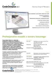 CODA GEO MOSAIC